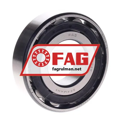 FAG N308E-TVP2-C4