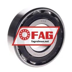 FAG N308E-TVP2-C4