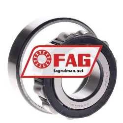 FAG N308E-TVP2-C4 rulman resim 2