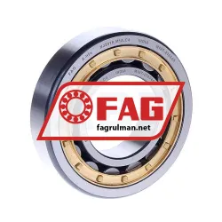 FAG NJ207E-M1A-C4