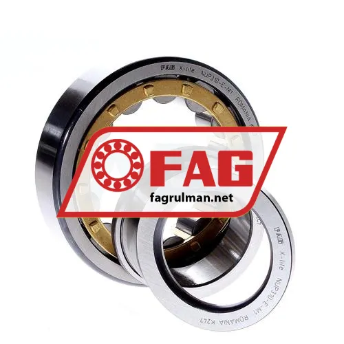 FAG NUP310-E-M1 ürün fotoğrafı 2