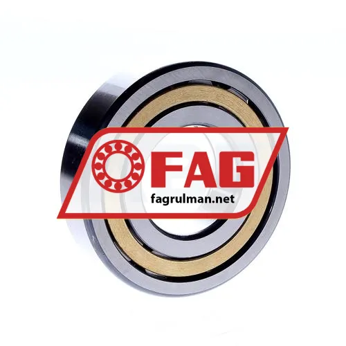 FAG NUP310-E-M1 ürün fotoğrafı 3