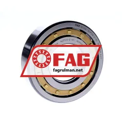 FAG NUP310-E-M1