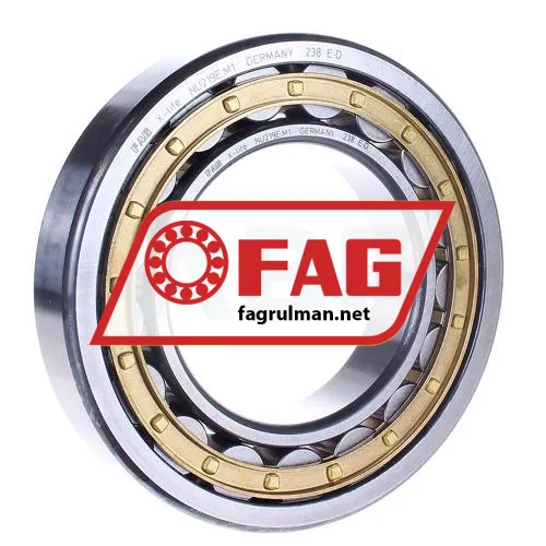 FAG NU219-E-M1