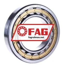 FAG NU219-E-M1