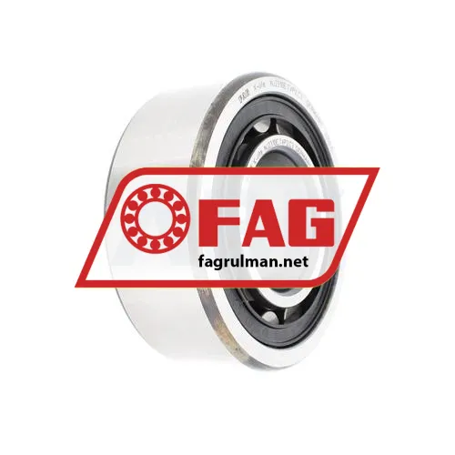 FAG NJ2310-E-TVP2-C3