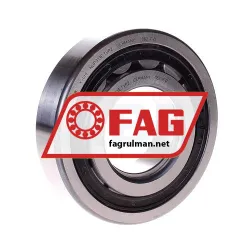FAG NUP313-E-TVP2
