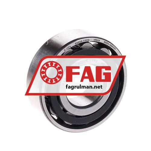 FAG N202-E-TVP2