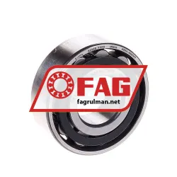 FAG N202-E-TVP2