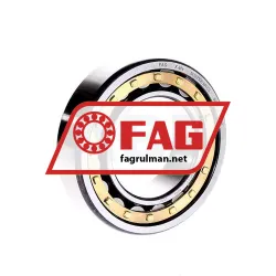 FAG NU2210E-M1-C3
