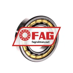 FAG NU210E-M1