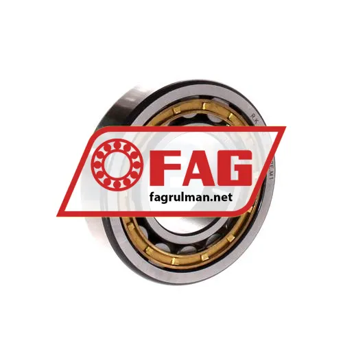 FAG NU207E-M1