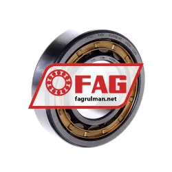 FAG NU206E-M1