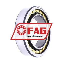 FAG NU1009M1-C3