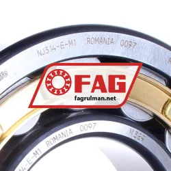 FAG NJ314E-M1 rulman resim 2