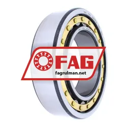 FAG NJ2215E-M1