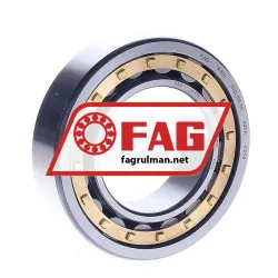 FAG NJ2210E-M1