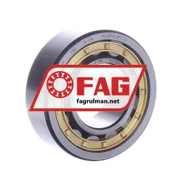 FAG NJ2206E-M1-C3