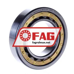 FAG NU210-E-XL-M1-F1-C4