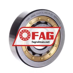 FAG NJ407-XL-M1A-P6-C4