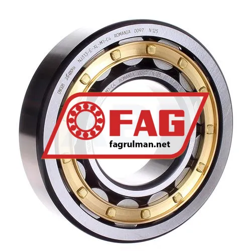 FAG NJ313-E-XL-M1-C4