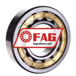 FAG NJ313-E-XL-M1-C4