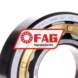 FAG NJ313-E-XL-M1-C4 rulman resim 2
