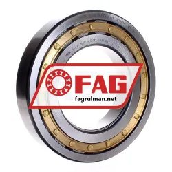FAG NUP224-E-M1