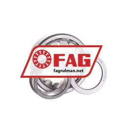 FAG NUP207E-JP3
