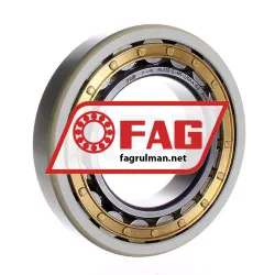FAG NU220-E-M1-J20AA-C3