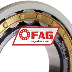 FAG NU220-E-M1-J20AA-C3 rulman resim 2