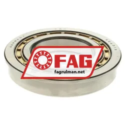 FAG 524213