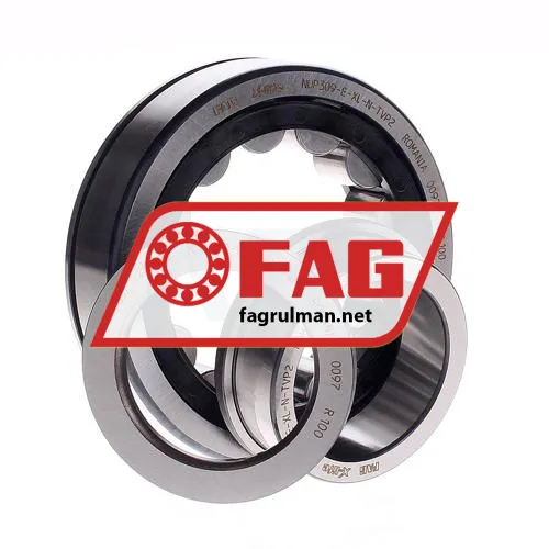 FAG NUP309-E-XL-N-TVP2