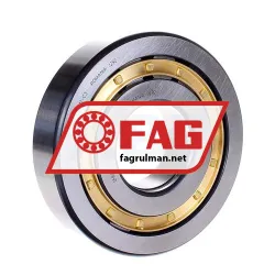 FAG NUP411-M1-C3