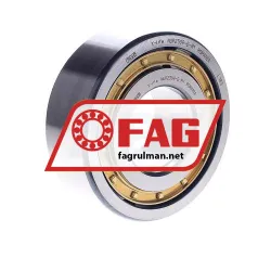 FAG NUP2309-E-M1