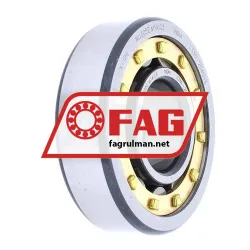 FAG NU305E-M1A-C3