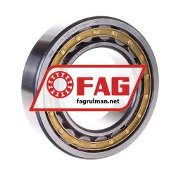 FAG NU2217E-M1