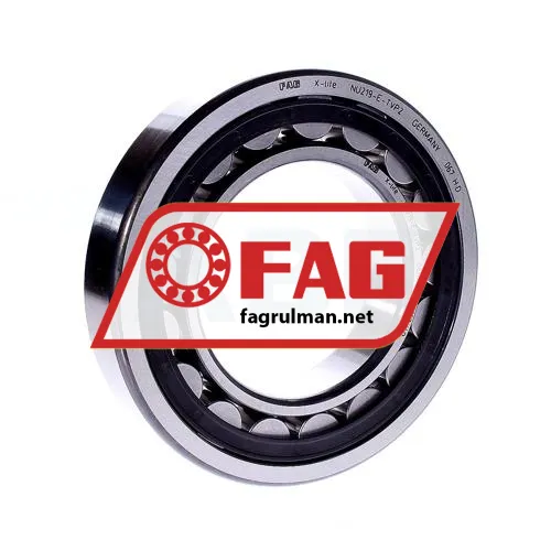 FAG NU219E-TVP2