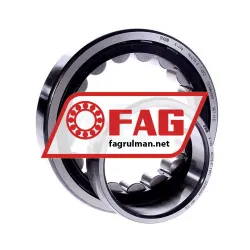 FAG NU219E-TVP2 rulman resim 2