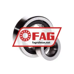 FAG NJ303E-TVP2 rulman resim 2