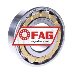 FAG N310-E-M1