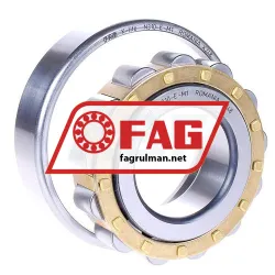 FAG N310-E-M1 rulman resim 2