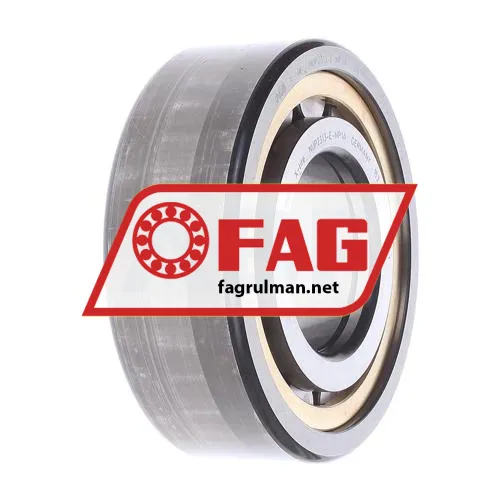 FAG NUP2313-E-MP1A