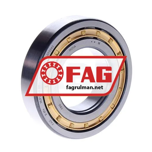 FAG NUP209E-M1