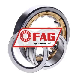 FAG NUP209E-M1 rulman resim 2
