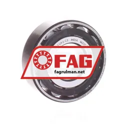 FAG N204E-TVP2-C3