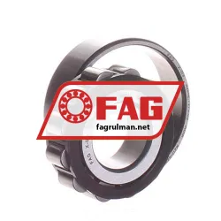 FAG N204E-TVP2-C3 rulman resim 2