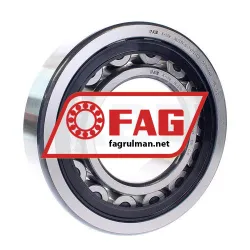FAG NU319-E-TVP2-C3