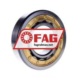 FAG NU318-E-M1A-C3