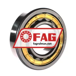 FAG NU317-E-M1-C3